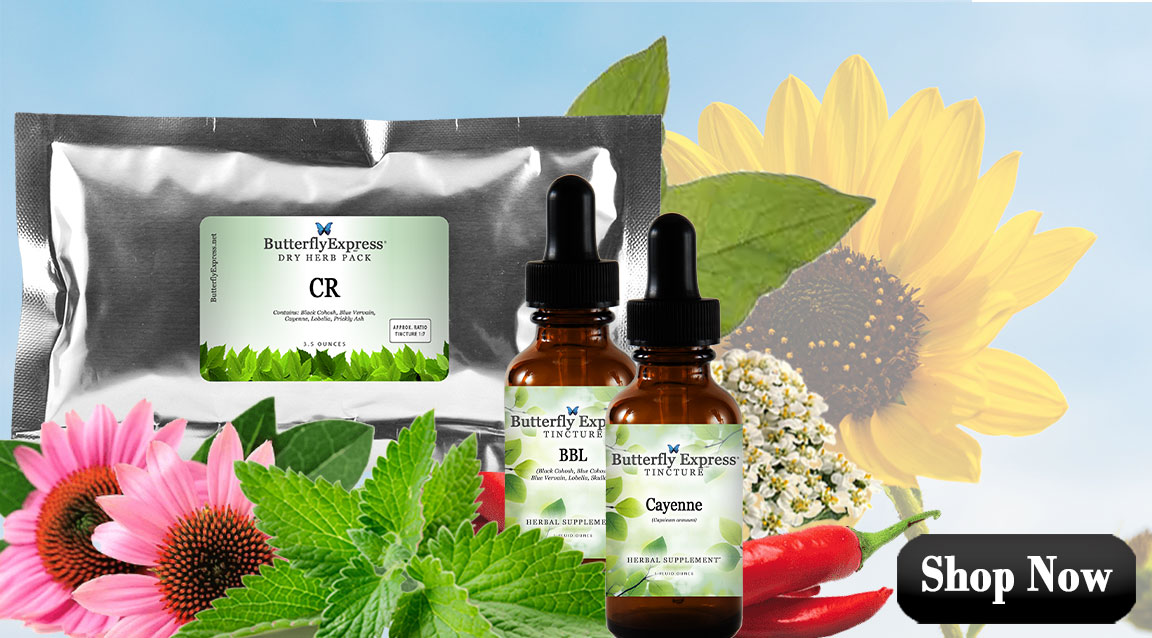 Featured Herbs for First Aid