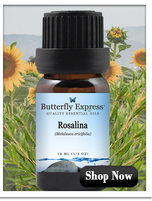 Rosalina Essential Oil