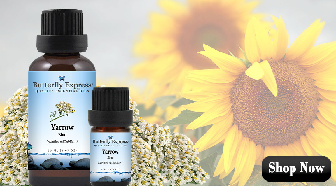 Yarrow Blue Essential Oil