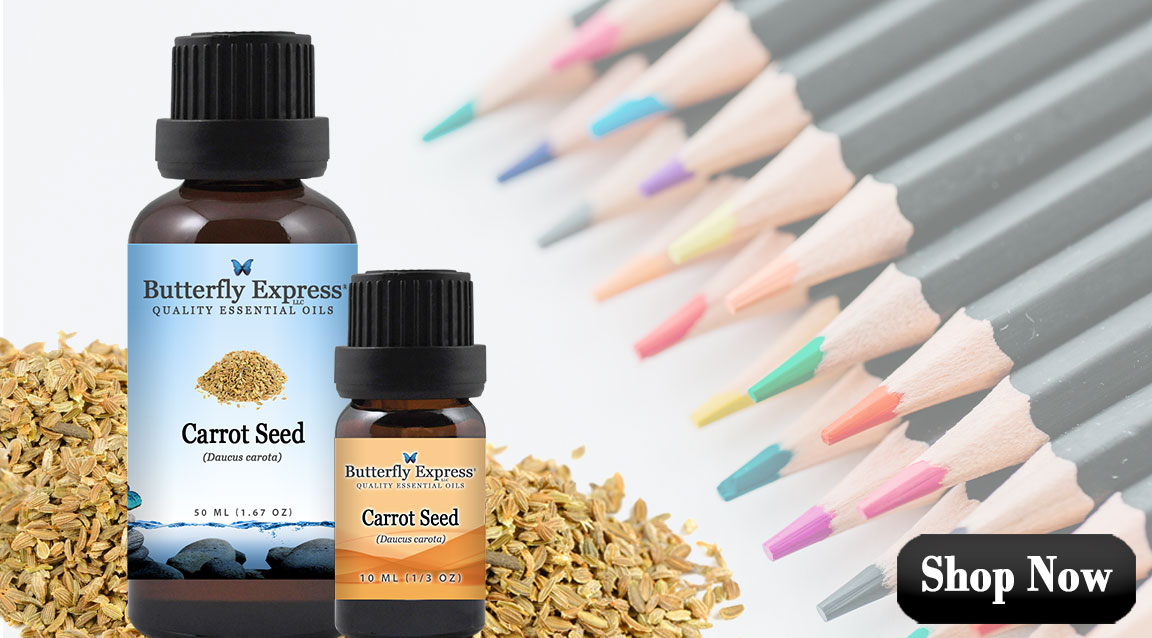 Carrot Seed Essential Oil