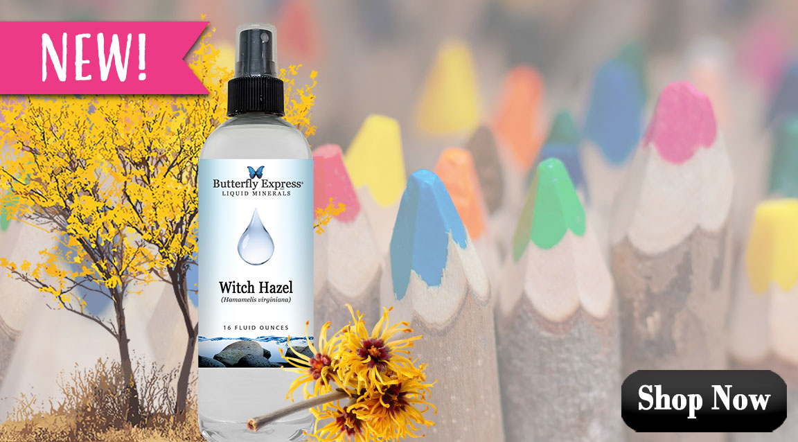 Witch Hazel