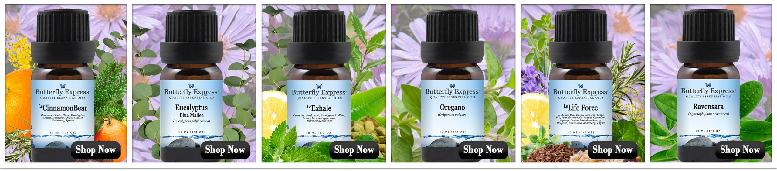 September 6-Oil Special for Respiratory Health & Immunity
