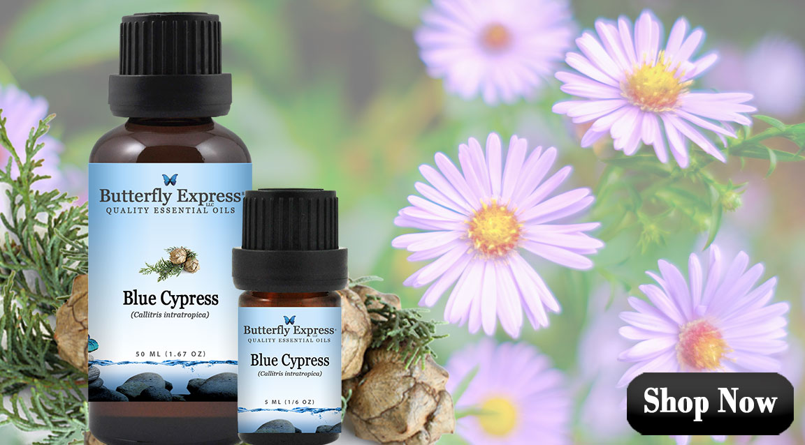 Blue Cypress Essential Oil