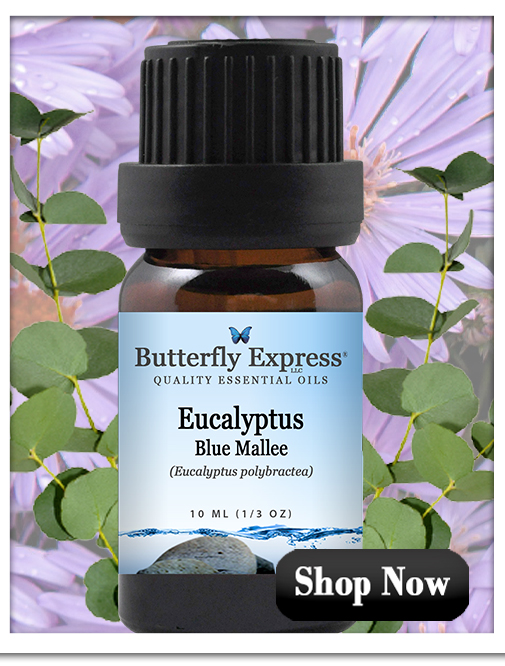 Eucalyptus Blue Mallee Essential Oil