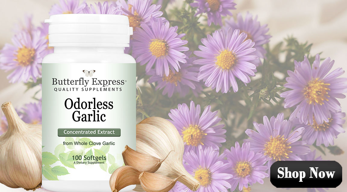 Odorless Garlic