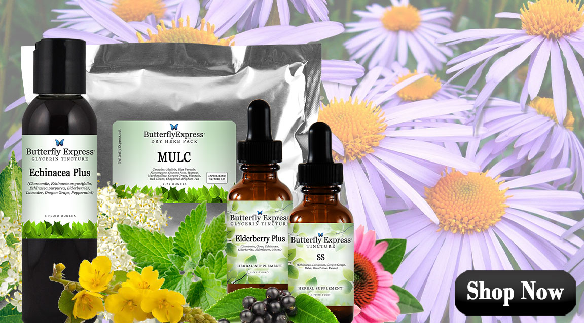 Featured Herbs for Respiratory Health & Immunity