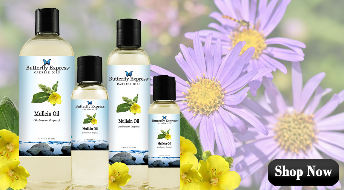 Featured Carrier Oil for Respiratory Health and Immunity