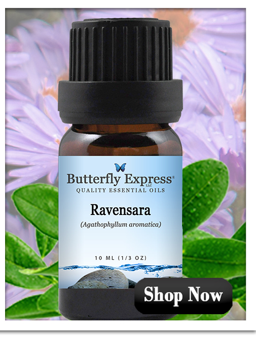 Ravensara Essential Oil