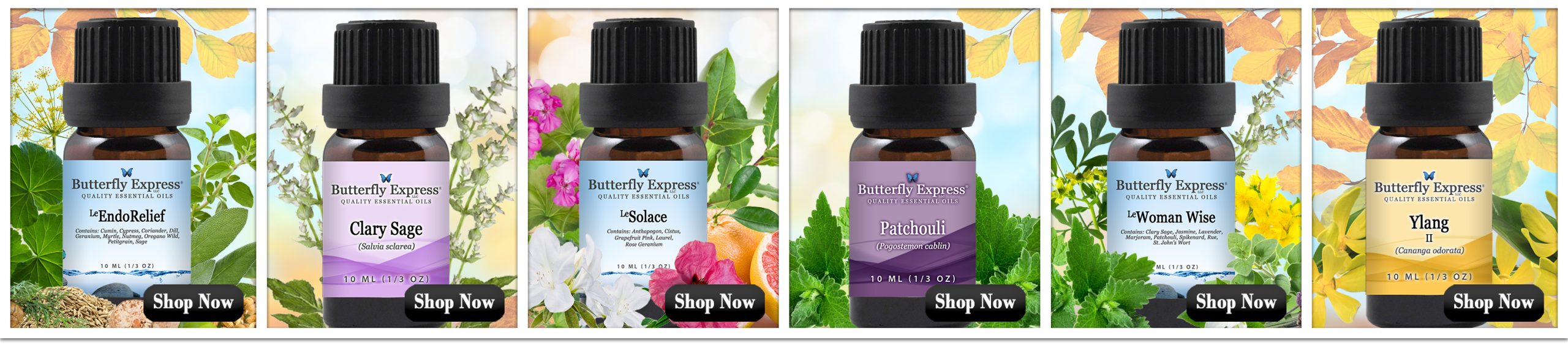 October 6-Oil Special for Women's Health