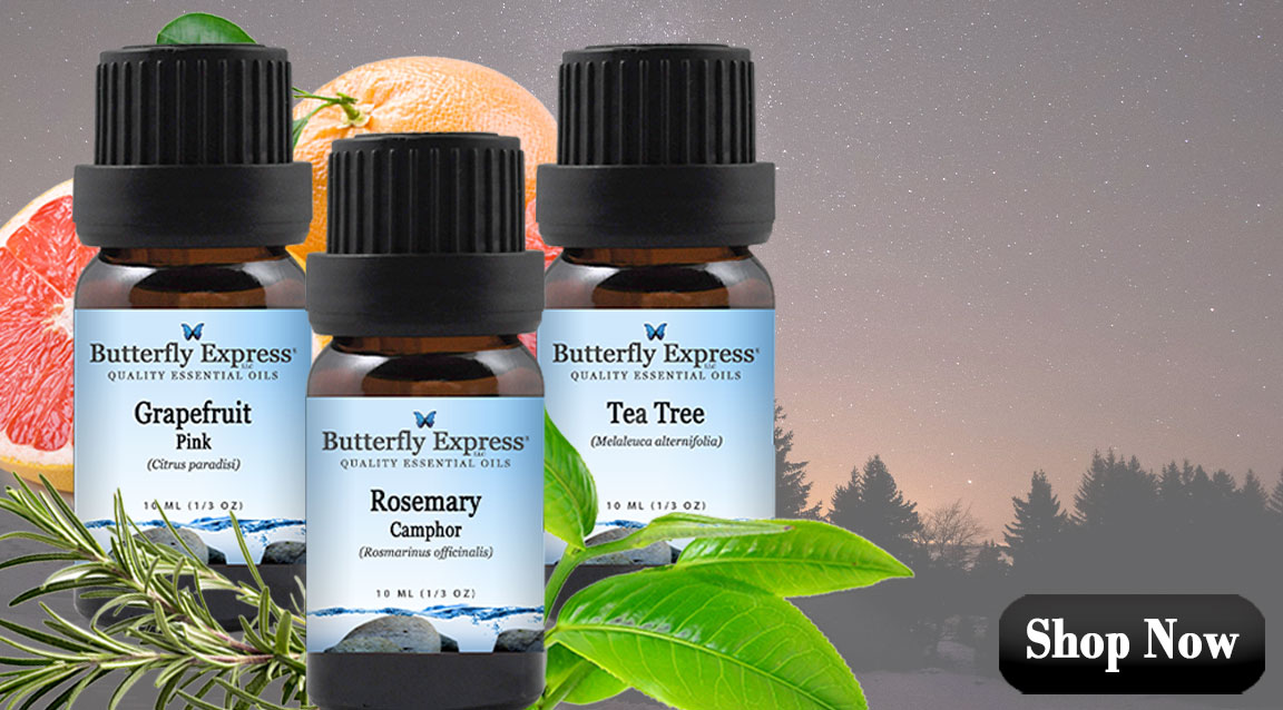 Grapefruit, Rosemary, Tea Tree 3-Oil Kit