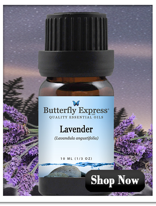 Lavender angustifolia Essential Oil