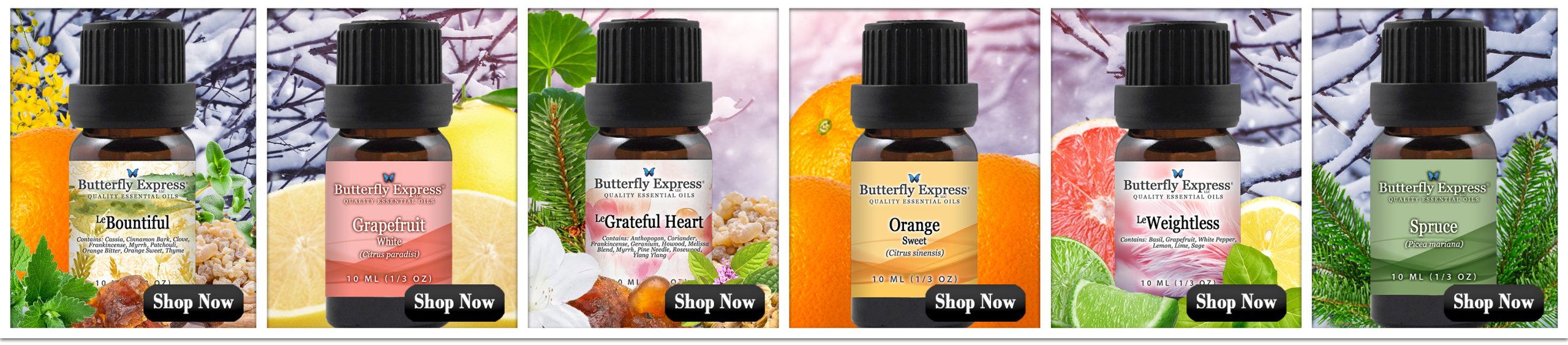 December Six Oil Special for Self Care and Self Improvement