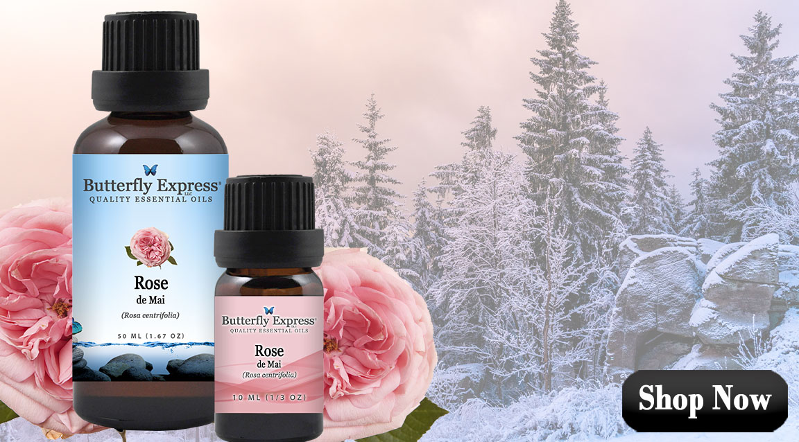 Rose de Mai Essential Oil