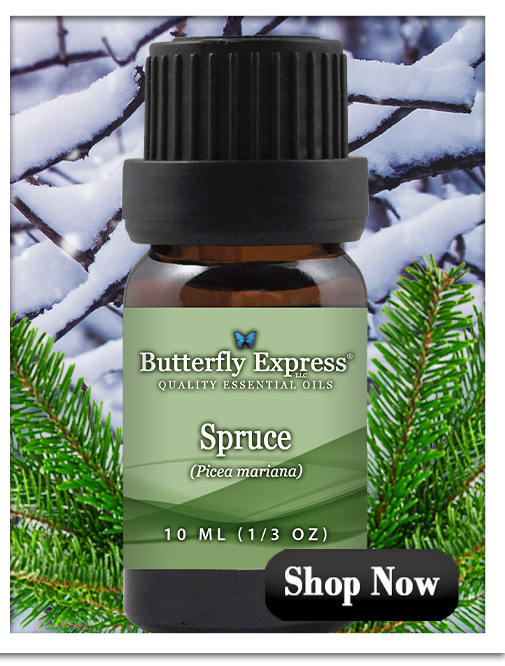 Spruce Essential Oil