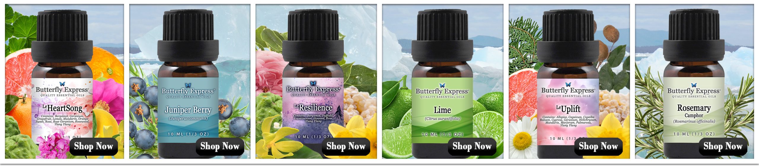 January 6-Oil Special for Mental Wellness
