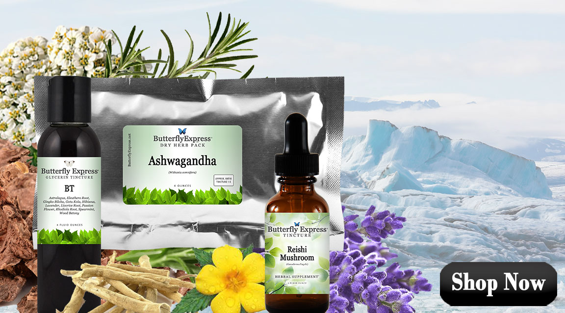 Featured Herbs for Mental Wellness