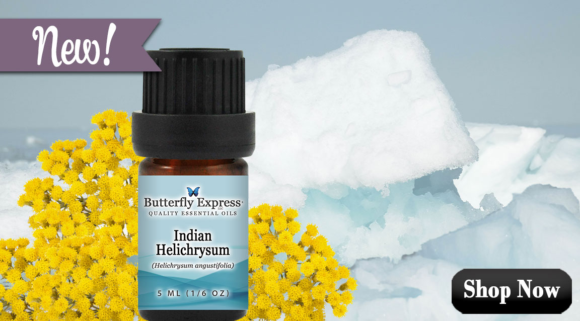 Indian Helichrysum Essential Oil