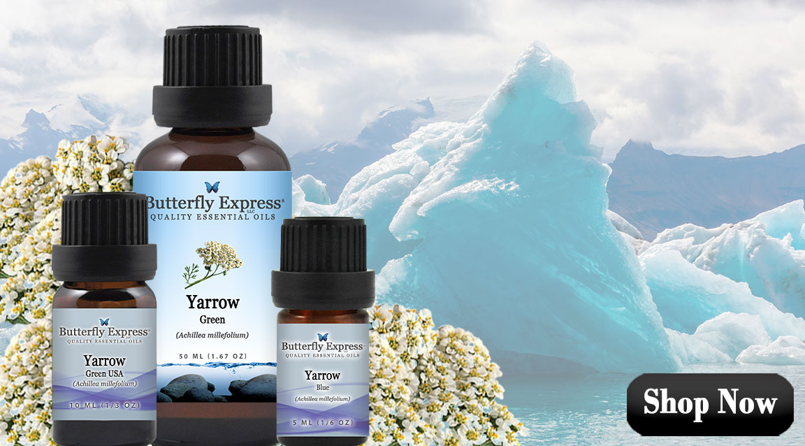 Yarrow Essential Oils