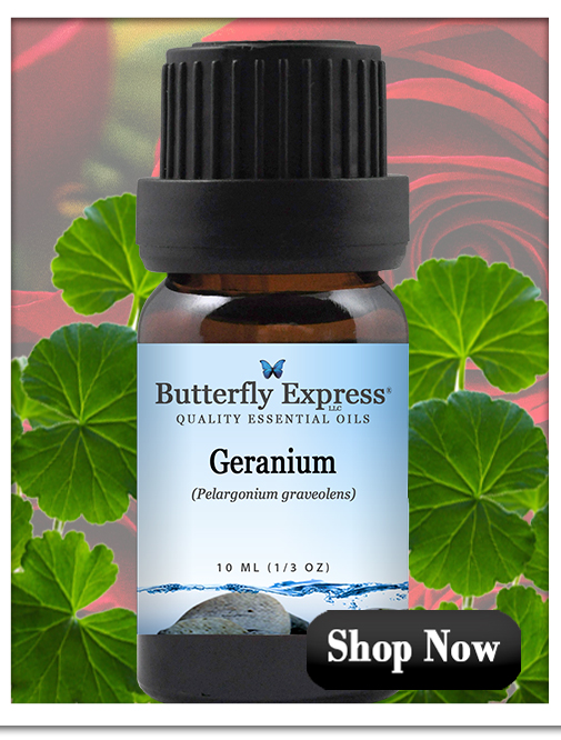 Geranium Essential Oil