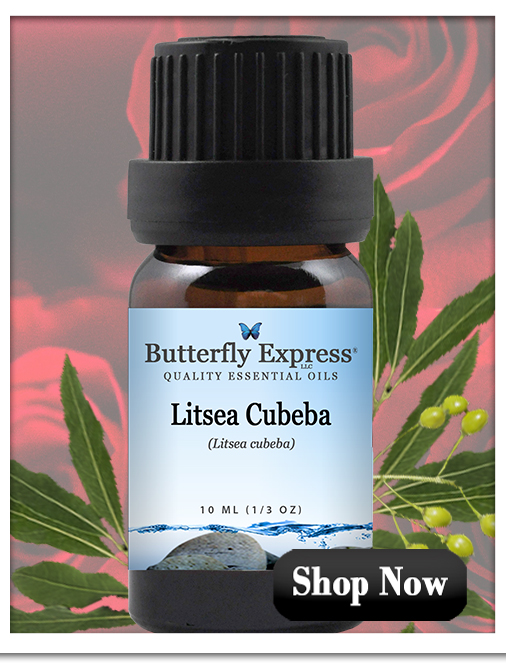 Litsea Cubeba Essential Oil
