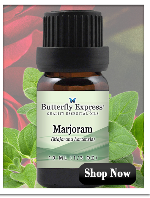 Marjoram Essential Oil