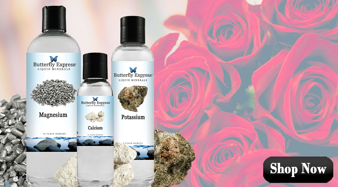 Featured Minerals for Heart Health