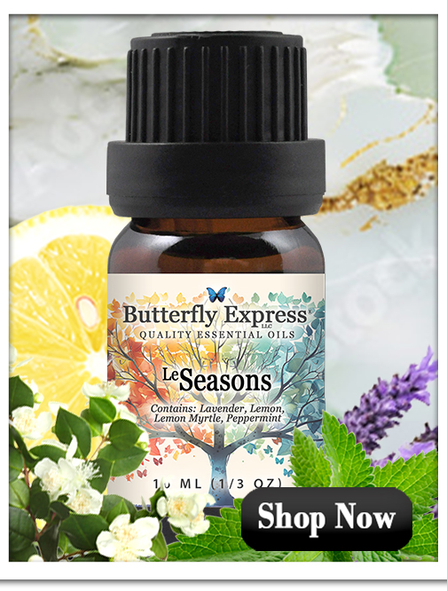 Seasons Essential Oil Blend