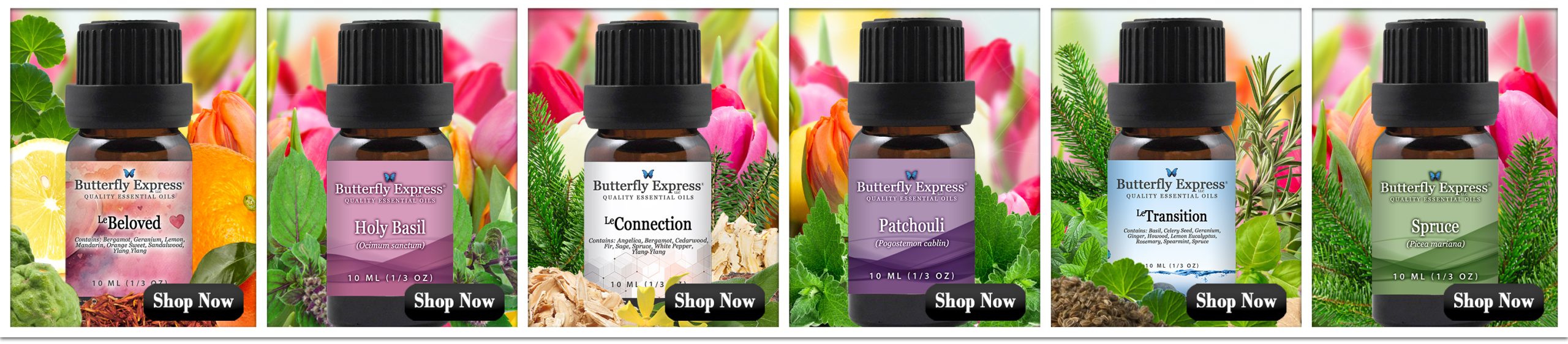 April 6-Oil Special for Grounding