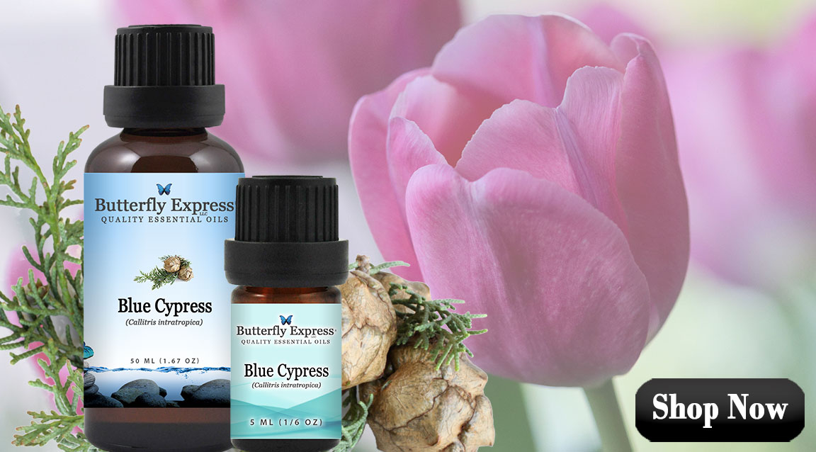 Featured Essential Oil Single for Grounding