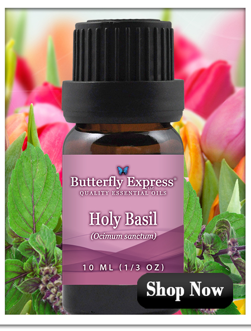 Holy Basil Essential Oil