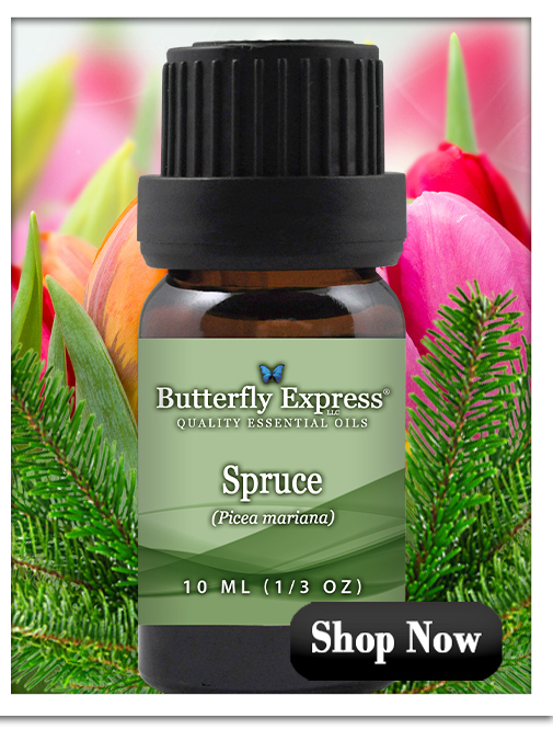 Spruce Essential Oil