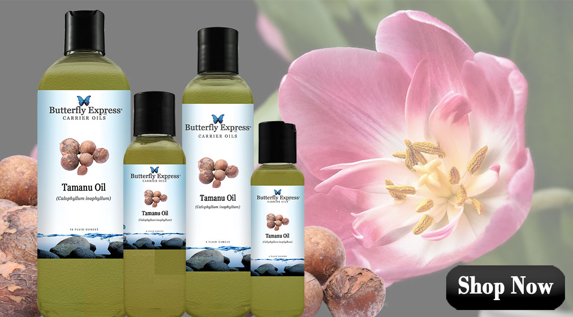 Featured Carrier Oil for Grounding