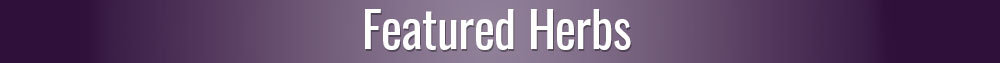 Featured Herbs for Stress
