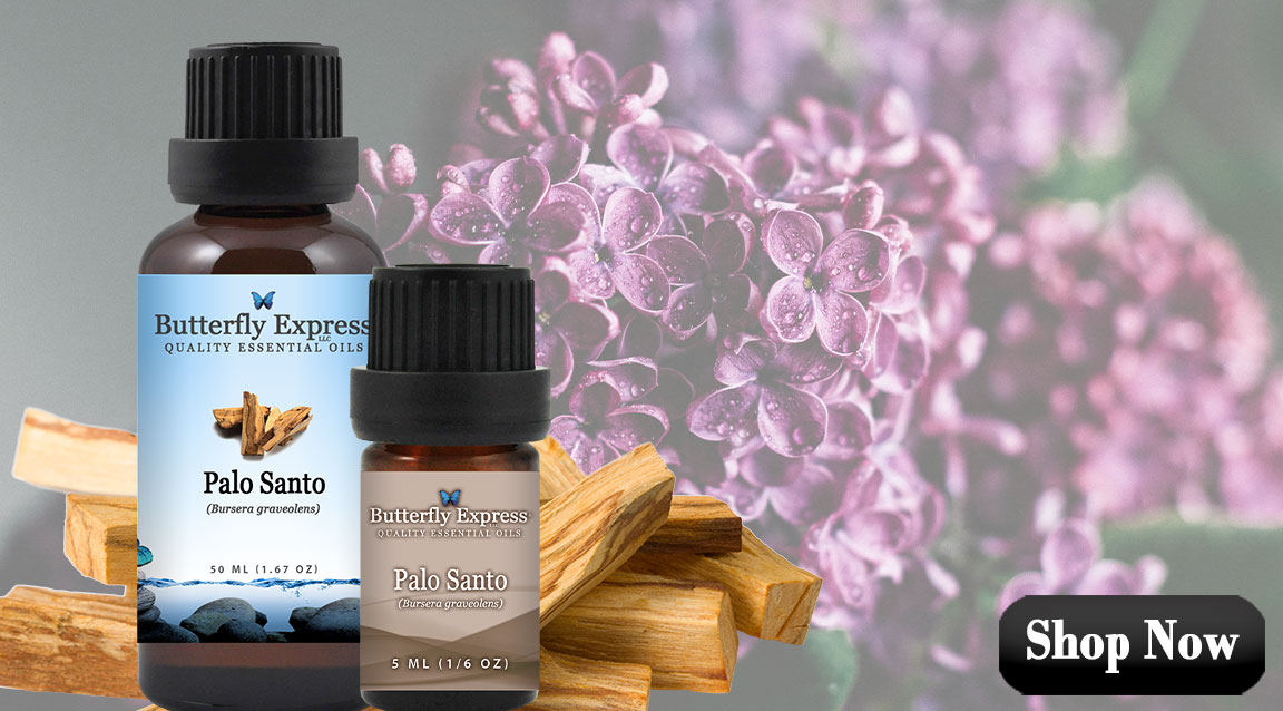 Palo Santo Essential Oil Single for Stress