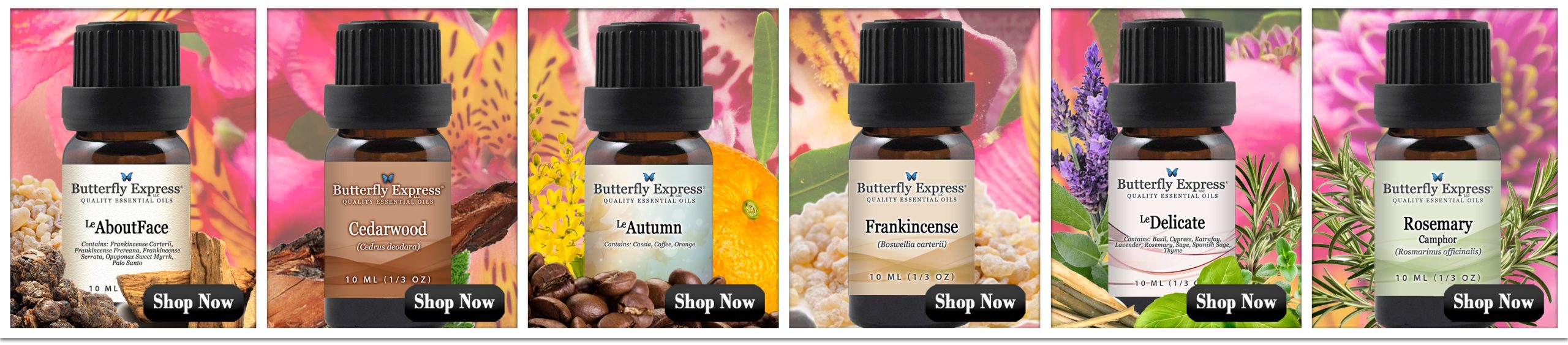 June 6-Oil Special for Hair and Nails