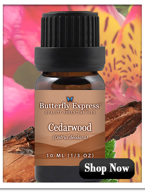 Cedarwood Essential Oil