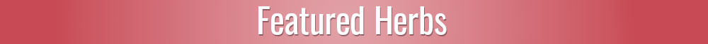 Featured Herbs for Hair & Nails