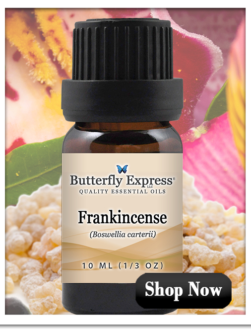 Frankincense Carterii Essential Oil