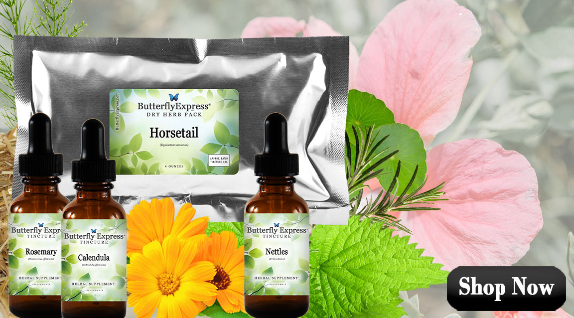 Featured Herbs for Hair & Nails