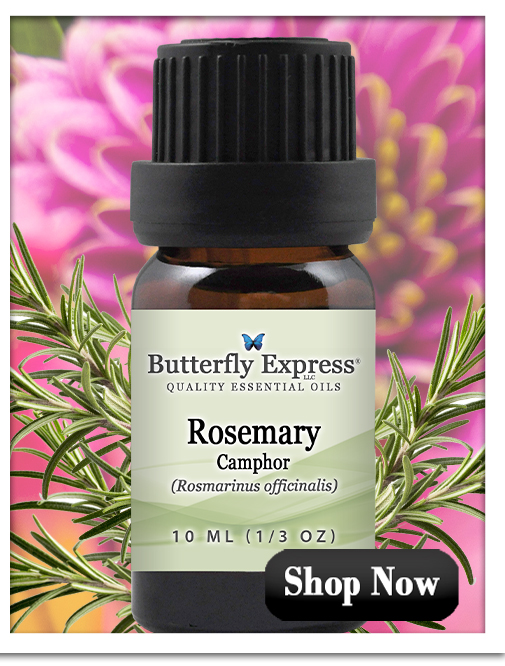 Rosemary Camphor Essential Oil 