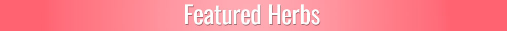 Featured Herbs for Adrenal Health & Cortisol