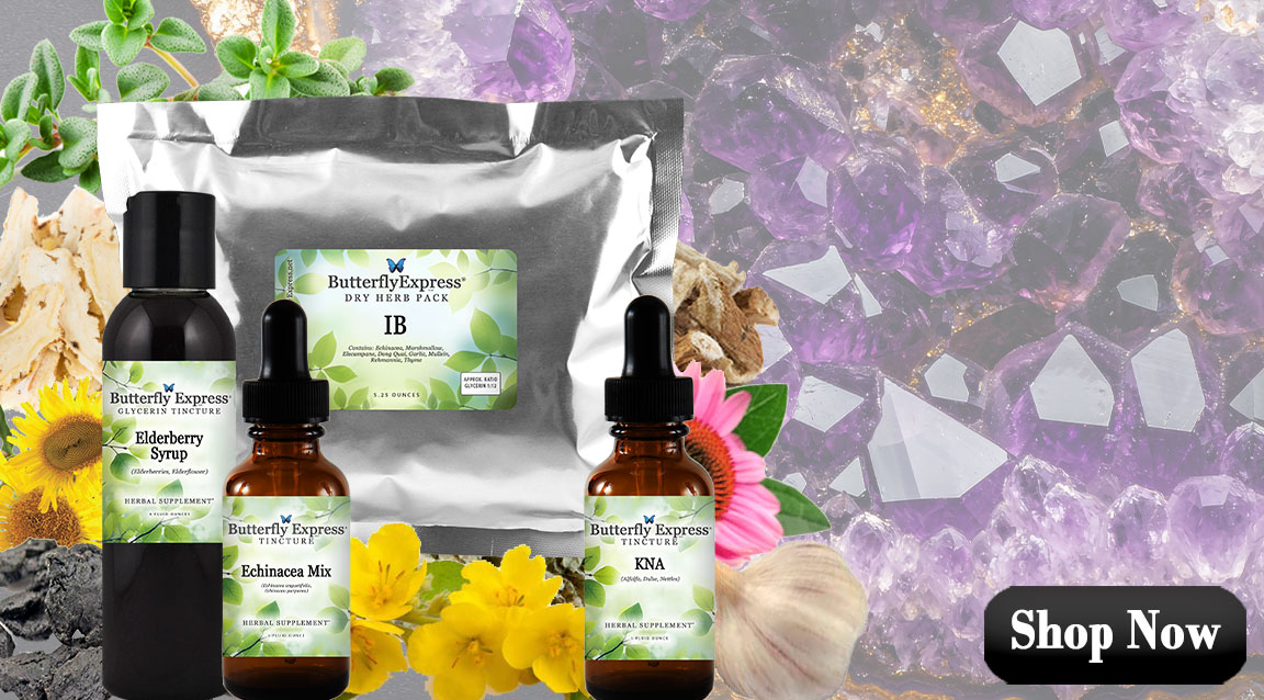 Featured Herbs for Immune Building