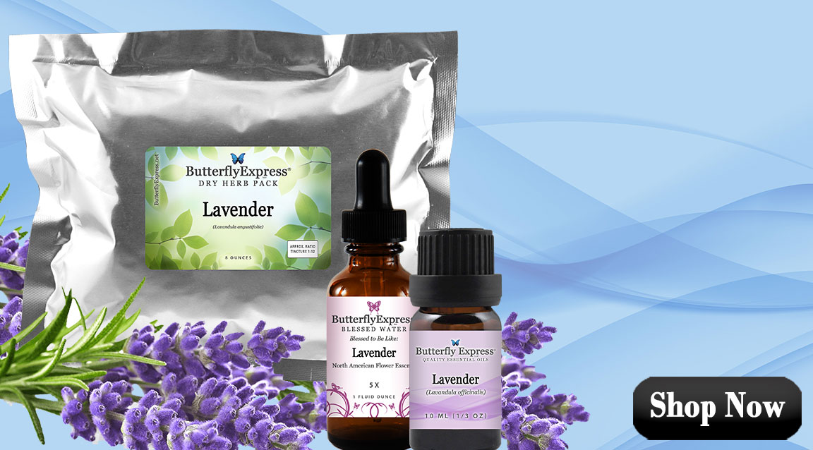 Lavender Essential Oils, Herb and Homeopathic Remedies