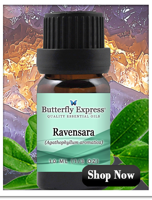 Ravensara Essential Oil