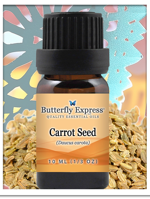 Carrot Seed Essential Oil