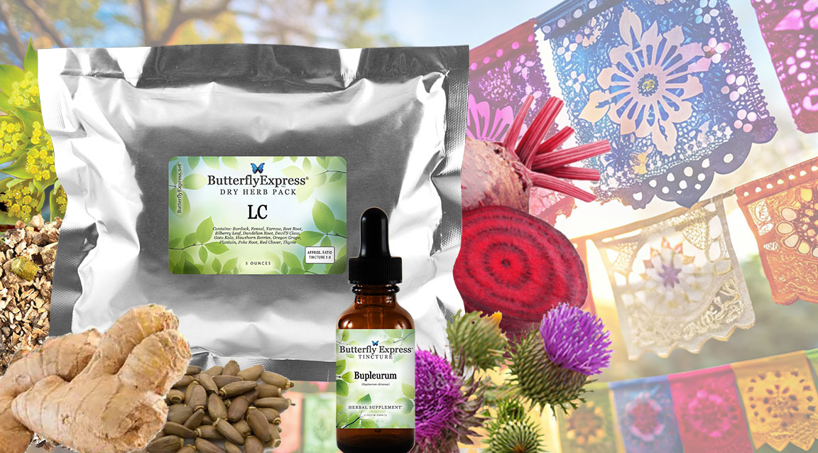 Featured Herbs for the Liver
