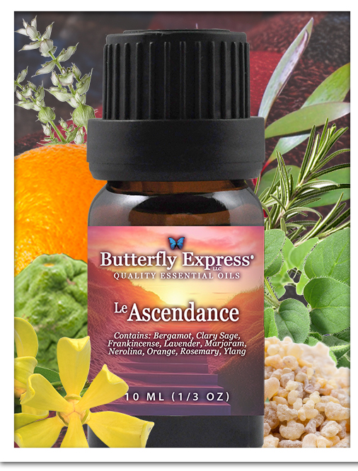 Ascendance Essential Oil Blend