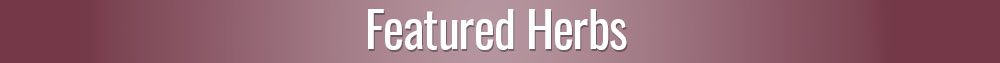 Featured Herbs for Reproductive Health