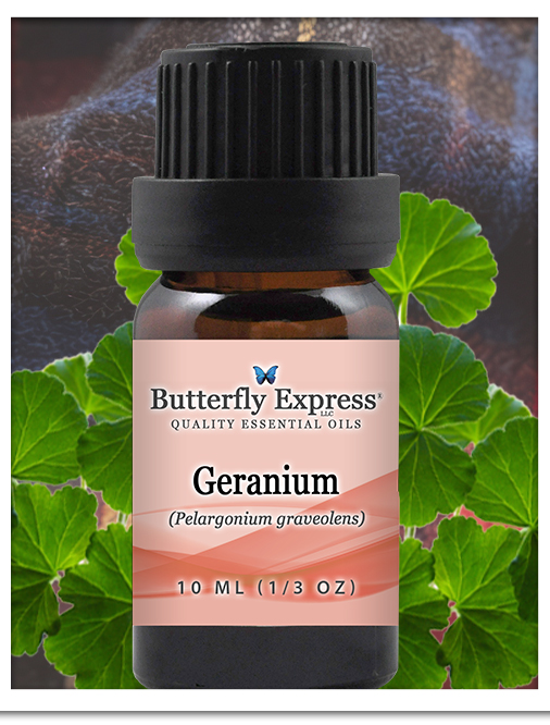 Geranium Essential Oil