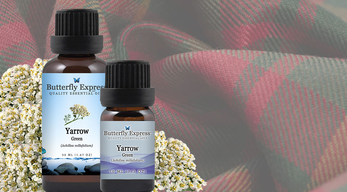 Yarrow Green Essential Oil